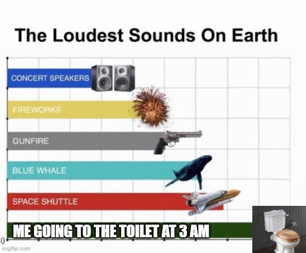The Loudest Sounds on Earth | ME GOING TO THE TOILET AT 3 AM | image tagged in the loudest sounds on earth | made w/ Imgflip meme maker