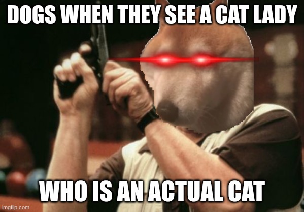 i have no idea what this means so if anyone gets it please tell me lol | DOGS WHEN THEY SEE A CAT LADY; WHO IS AN ACTUAL CAT | made w/ Imgflip meme maker
