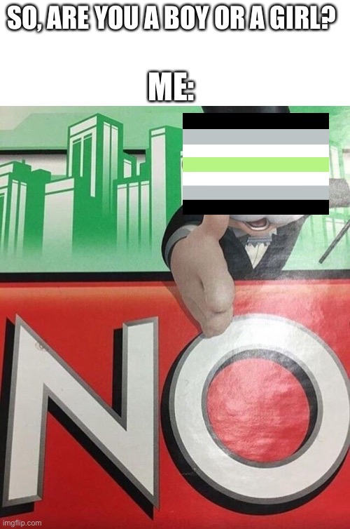 Monopoly No | ME:; SO, ARE YOU A BOY OR A GIRL? | image tagged in monopoly no | made w/ Imgflip meme maker