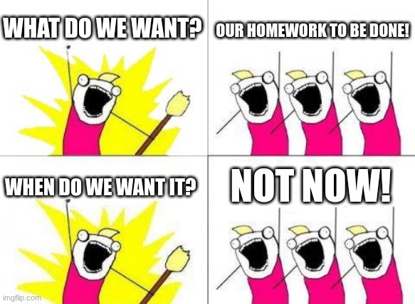 What Do We Want Meme | WHAT DO WE WANT? OUR HOMEWORK TO BE DONE! NOT NOW! WHEN DO WE WANT IT? | image tagged in memes,what do we want | made w/ Imgflip meme maker