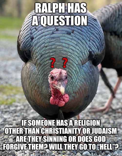 Ralph wishes you well and hopes you live long | RALPH HAS A QUESTION; IF SOMEONE HAS A RELIGION OTHER THAN CHRISTIANITY OR JUDAISM ARE THEY SINNING OR DOES GOD FORGIVE THEM? WILL THEY GO TO “HELL”? | made w/ Imgflip meme maker