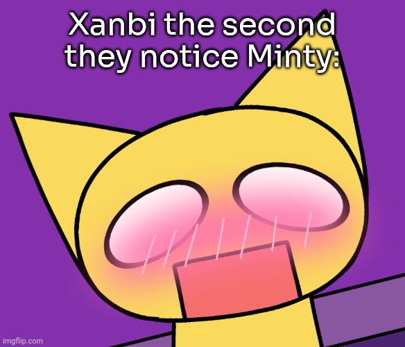 Aimkid Yellow Cat blushing | Xanbi the second they notice Minty: | image tagged in aimkid yellow cat blushing | made w/ Imgflip meme maker