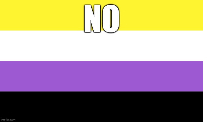 Nonbinary | NO | image tagged in nonbinary | made w/ Imgflip meme maker