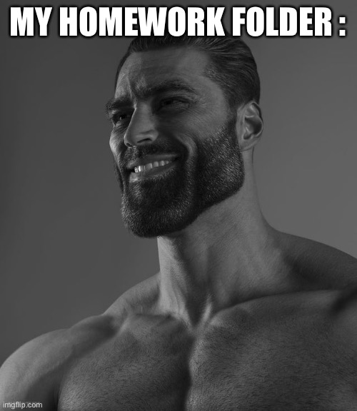 Giga Chad | MY HOMEWORK FOLDER : | image tagged in giga chad | made w/ Imgflip meme maker