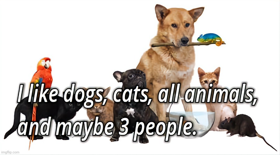 Love Animals | image tagged in dogs,cats,pets,humanity | made w/ Imgflip meme maker