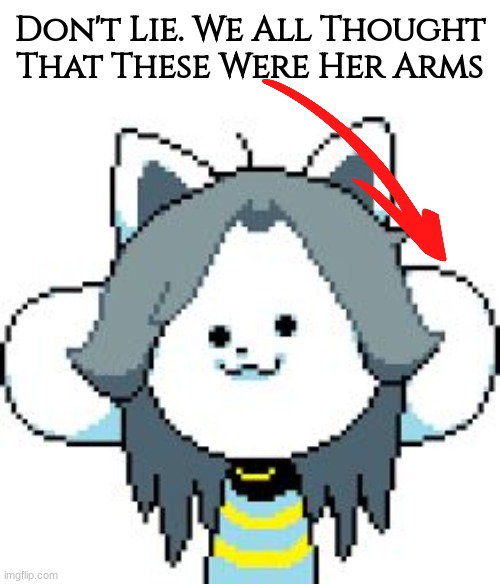 TEMMIE | Don't Lie. We All Thought That These Were Her Arms | image tagged in temmie | made w/ Imgflip meme maker