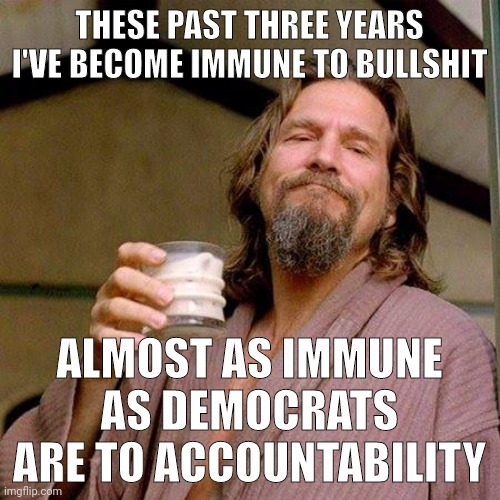 Immunity. | THESE PAST THREE YEARS I'VE BECOME IMMUNE TO BULLSHIT; ALMOST AS IMMUNE AS DEMOCRATS ARE TO ACCOUNTABILITY | image tagged in the dude | made w/ Imgflip meme maker