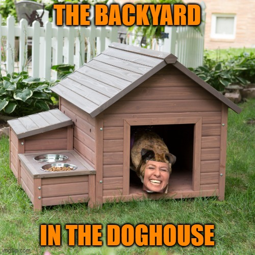 Dog House | THE BACKYARD IN THE DOGHOUSE | image tagged in dog house | made w/ Imgflip meme maker