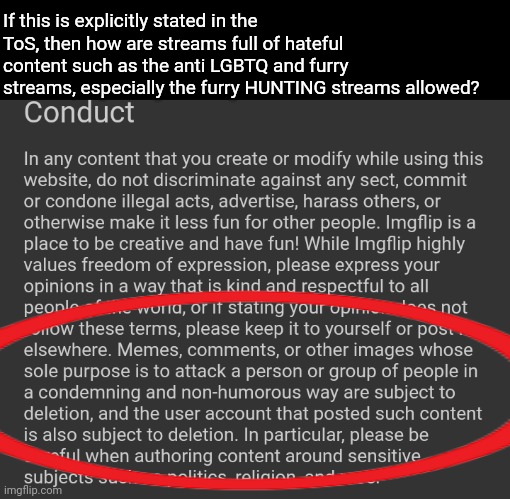 This needs to get fixed, I'm really confused at why this stuff can be around but people get comments deleted all the time for sa | If this is explicitly stated in the ToS, then how are streams full of hateful content such as the anti LGBTQ and furry streams, especially the furry HUNTING streams allowed? | made w/ Imgflip meme maker