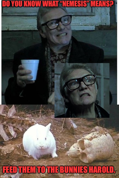 DO YOU KNOW WHAT “NEMESIS” MEANS? FEED THEM TO THE BUNNIES HAROLD. | image tagged in didactic brick top,seething rage | made w/ Imgflip meme maker