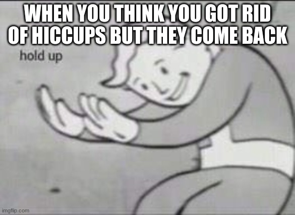 Fallout Hold Up | WHEN YOU THINK YOU GOT RID OF HICCUPS BUT THEY COME BACK | image tagged in fallout hold up | made w/ Imgflip meme maker