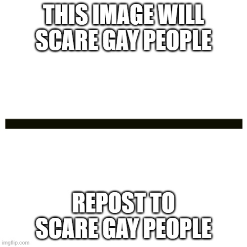 Horizontal Line | THIS IMAGE WILL SCARE GAY PEOPLE; REPOST TO SCARE GAY PEOPLE | image tagged in horizontal line | made w/ Imgflip meme maker