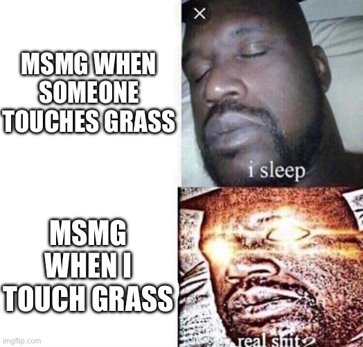 i sleep real shit | MSMG WHEN SOMEONE TOUCHES GRASS; MSMG WHEN I TOUCH GRASS | image tagged in i sleep real shit | made w/ Imgflip meme maker