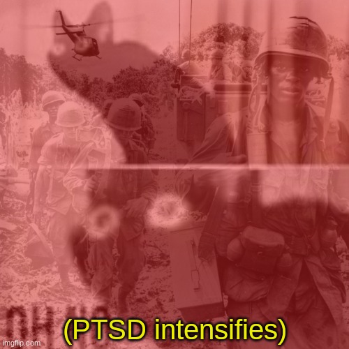 Oh no cat PSTD intensifies | image tagged in oh no cat pstd intensifies | made w/ Imgflip meme maker