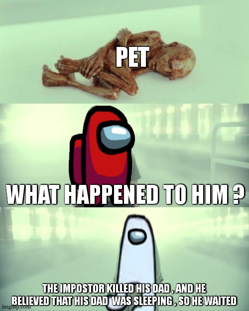 if you already played among us , you should understand | PET; WHAT HAPPENED TO HIM ? THE IMPOSTOR KILLED HIS DAD , AND HE BELIEVED THAT HIS DAD  WAS SLEEPING , SO HE WAITED | image tagged in dead baby voldemort / what happened to him,among us,relatable,gaming,funny,baby | made w/ Imgflip meme maker