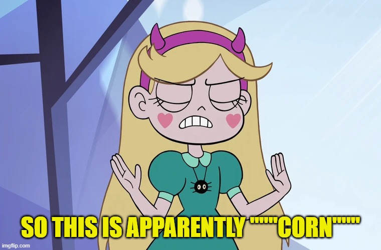 Star Butterfly 'okay, fine' | SO THIS IS APPARENTLY """CORN""" | image tagged in star butterfly 'okay fine' | made w/ Imgflip meme maker
