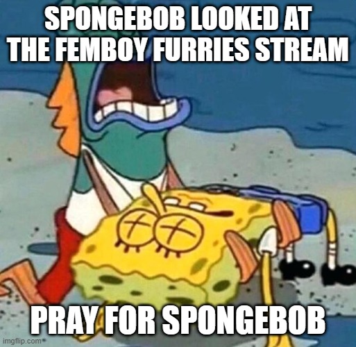 SpongeBob is dead | SPONGEBOB LOOKED AT THE FEMBOY FURRIES STREAM; PRAY FOR SPONGEBOB | image tagged in spongebob is dead | made w/ Imgflip meme maker