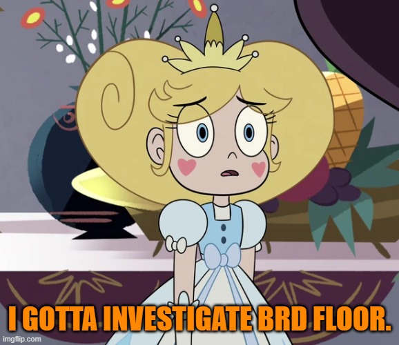 Star butterfly | I GOTTA INVESTIGATE BRD FLOOR. | image tagged in star butterfly | made w/ Imgflip meme maker