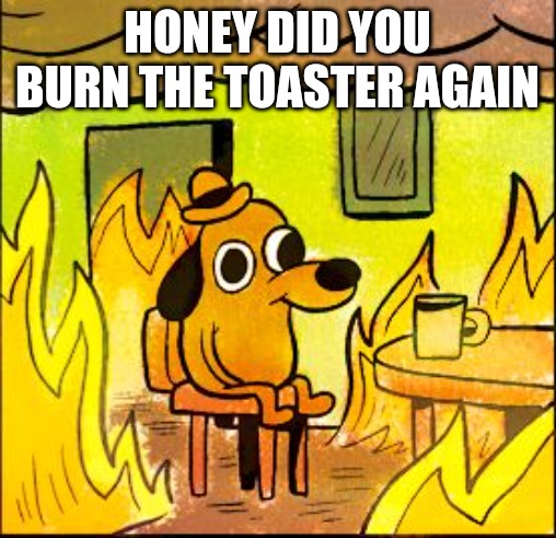 oh not again | HONEY DID YOU BURN THE TOASTER AGAIN | image tagged in this is fine | made w/ Imgflip meme maker