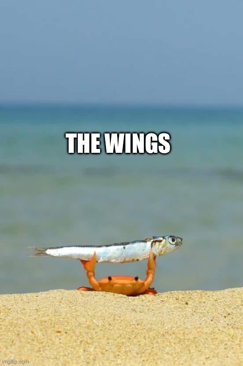 the winning crab | THE WINGS | image tagged in the winning crab | made w/ Imgflip meme maker