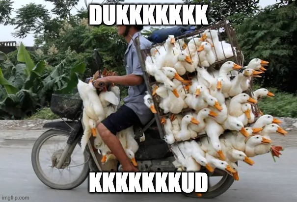 i need to stop using my own meme template | DUKKKKKKK; KKKKKKKUD | image tagged in duck cage | made w/ Imgflip meme maker