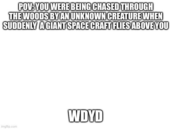 No among us things or op weapons other than a knife and no military tanks | POV: YOU WERE BEING CHASED THROUGH THE WOODS BY AN UNKNOWN CREATURE WHEN SUDDENLY  A GIANT SPACE CRAFT FLIES ABOVE YOU; WDYD | made w/ Imgflip meme maker