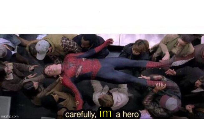 Carefully he's a hero | im | image tagged in carefully he's a hero | made w/ Imgflip meme maker