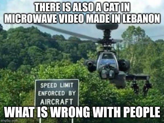 speed limit enforced by aircraft | THERE IS ALSO A CAT IN MICROWAVE VIDEO MADE IN LEBANON; WHAT IS WRONG WITH PEOPLE | image tagged in speed limit enforced by aircraft | made w/ Imgflip meme maker
