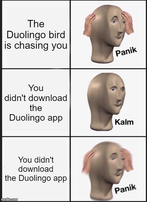 Panik Kalm Panik Meme | The Duolingo bird is chasing you; You didn't download the Duolingo app; You didn't download the Duolingo app | image tagged in memes,panik kalm panik | made w/ Imgflip meme maker