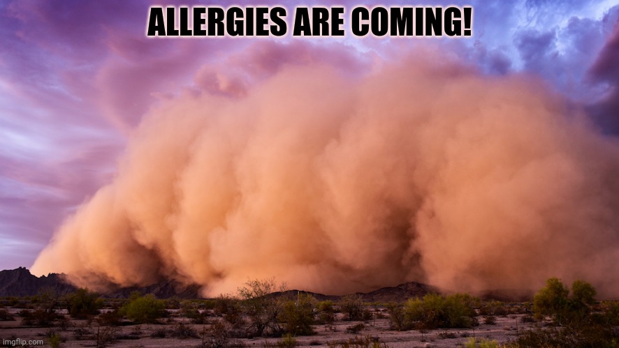 ALLERGIES ARE COMING! | made w/ Imgflip meme maker