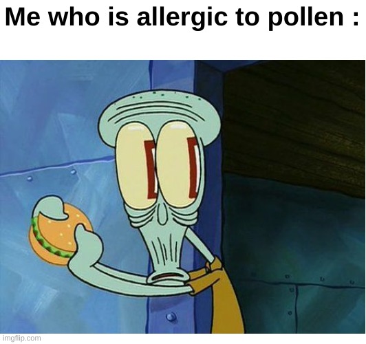 Me who is allergic to pollen : | made w/ Imgflip meme maker