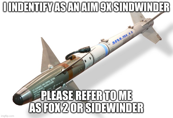 (joke btw) my boyfriend is an f-16 dont f*ck with me!! ill shoot you down just like those 2 libyan su-22s in 81'! | I INDENTIFY AS AN AIM 9X SINDWINDER; PLEASE REFER TO ME AS FOX 2 OR SIDEWINDER | image tagged in lgbtq,gay,memes,offensive | made w/ Imgflip meme maker