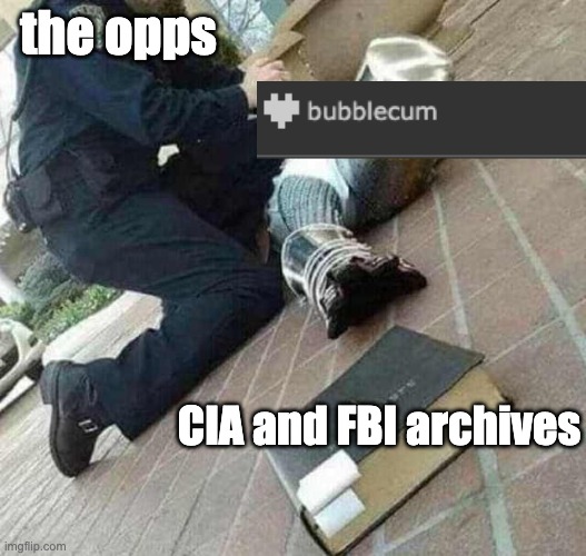 bro is on the grind leaking governement information | the opps; CIA and FBI archives | image tagged in arrested crusader reaching for book | made w/ Imgflip meme maker