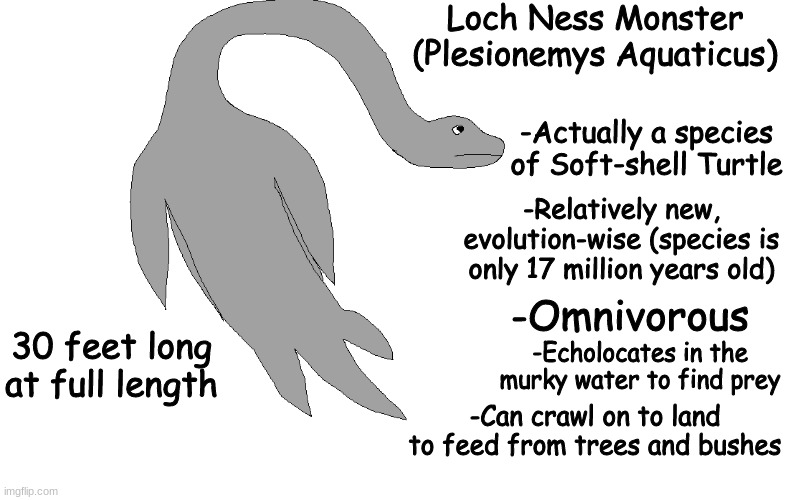 the q | Loch Ness Monster
(Plesionemys Aquaticus); -Actually a species of Soft-shell Turtle; -Relatively new, evolution-wise (species is only 17 million years old); -Omnivorous; -Echolocates in the murky water to find prey; 30 feet long at full length; -Can crawl on to land to feed from trees and bushes | made w/ Imgflip meme maker