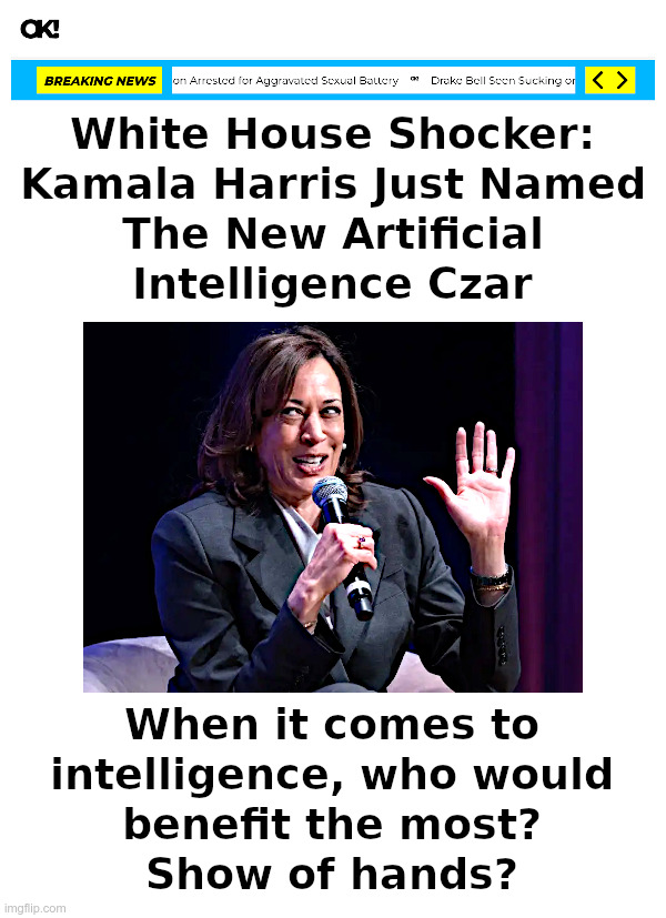 Kamala Harris Just Named The New Artificial Intelligence Czar | image tagged in kamala harris,artificial intelligence,czar,no sign of intelligent life,beam me up scotty | made w/ Imgflip meme maker