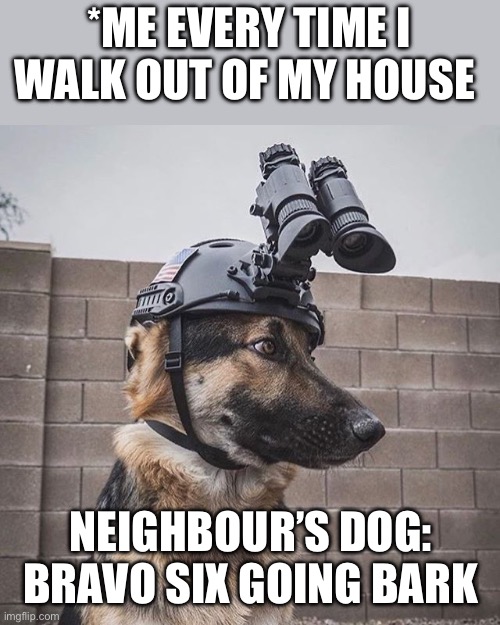 Bravo six | *ME EVERY TIME I WALK OUT OF MY HOUSE; NEIGHBOUR’S DOG: BRAVO SIX GOING BARK | image tagged in dog meme | made w/ Imgflip meme maker