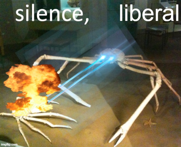 Silence Crab | liberal | image tagged in silence crab | made w/ Imgflip meme maker