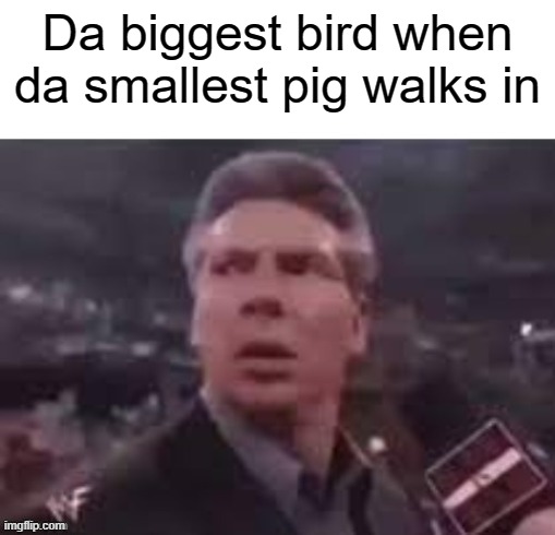 I'm da smallest pig,I'm da smallest pig! | Da biggest bird when da smallest pig walks in | image tagged in x when x walks in,angry birds | made w/ Imgflip meme maker