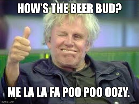 Gary Busey approves | HOW’S THE BEER BUD? ME LA LA FA POO POO OOZY. | image tagged in memes | made w/ Imgflip meme maker