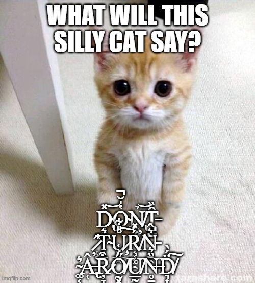 ok | WHAT WILL THIS SILLY CAT SAY? Ḑ̴̢̞͎̽͝O̴̥̔̍̆̚N̸̢̥̻̜̉͝T̵̺̺̑̏ ̷̜͔̂̕̕T̴̝̱͛Ů̷̧̙̲̭̎͋͠Ŗ̸͕͚̯́̽̕Ṋ̵̱̯͛̂ ̴͚͔̠̥͛Â̶̢̜̕R̷̦̞̳͒Ő̸̰͓͐͑U̸̲̰̣̖͐N̶̥̠̙͍̏͛D̸͉͎͙̈́̀͠ | image tagged in memes,cute cat | made w/ Imgflip meme maker