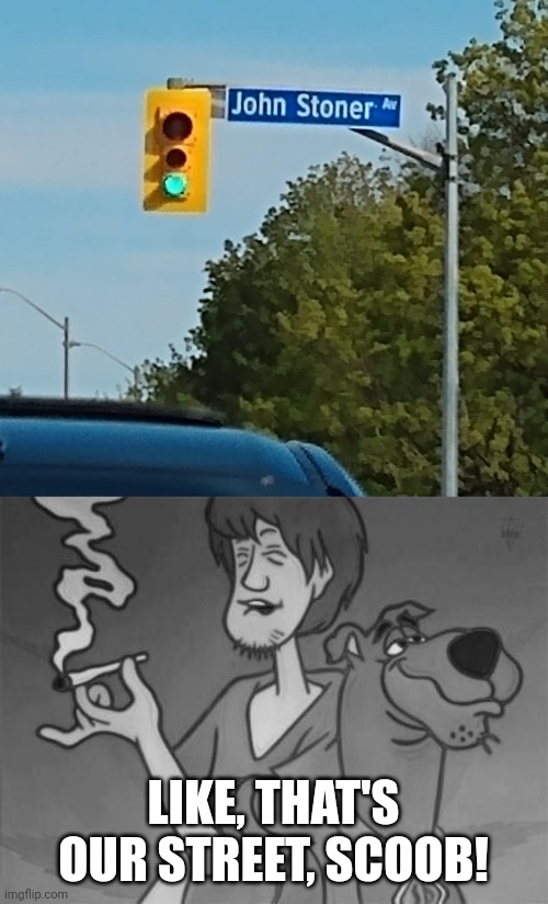 That's our street, Scoob! | LIKE, THAT'S OUR STREET, SCOOB! | image tagged in scooby doo | made w/ Imgflip meme maker