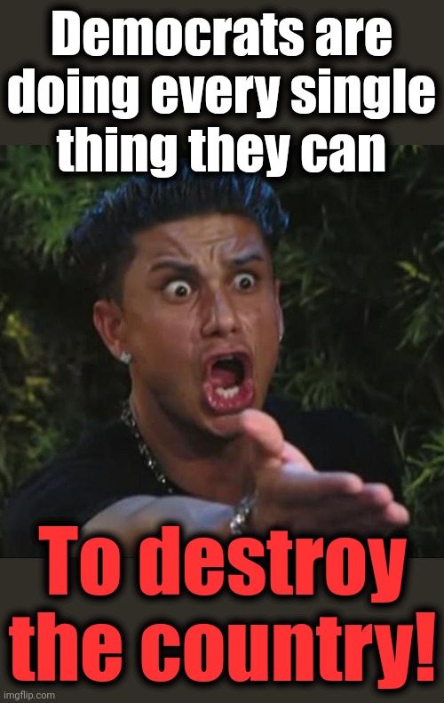 DJ Pauly D Meme | Democrats are
doing every single
thing they can To destroy the country! | image tagged in memes,dj pauly d | made w/ Imgflip meme maker