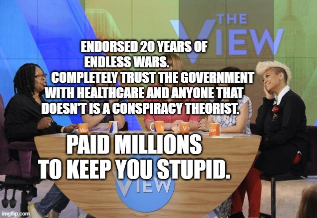 The View | ENDORSED 20 YEARS OF ENDLESS WARS.              
       COMPLETELY TRUST THE GOVERNMENT WITH HEALTHCARE AND ANYONE THAT DOESN'T IS A CONSPIRACY THEORIST. PAID MILLIONS TO KEEP YOU STUPID. | image tagged in the view | made w/ Imgflip meme maker