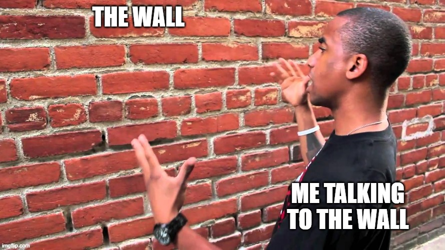 wall | THE WALL; ME TALKING TO THE WALL | image tagged in talking to wall | made w/ Imgflip meme maker