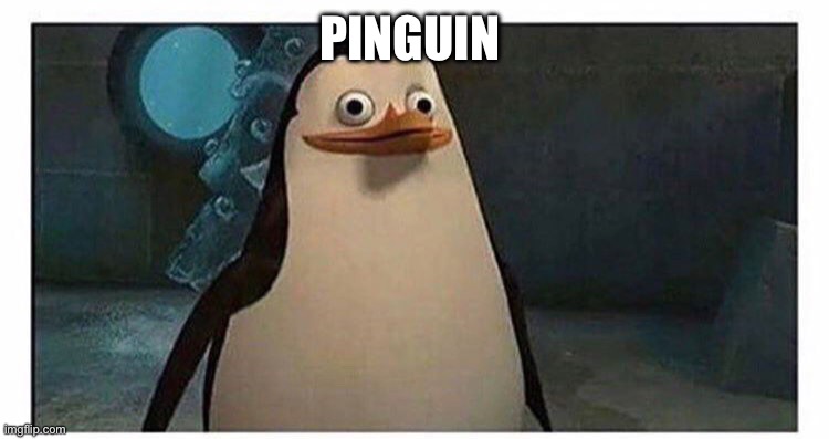 Stupid pinguin | PINGUIN | image tagged in your mom | made w/ Imgflip meme maker