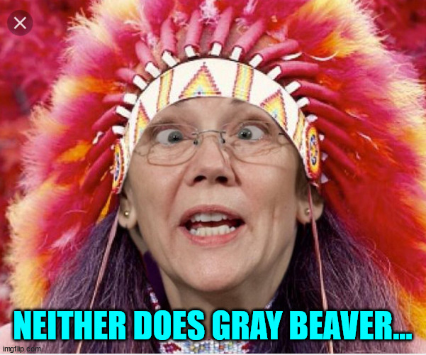 Pocahontas Warren | NEITHER DOES GRAY BEAVER... | image tagged in pocahontas warren | made w/ Imgflip meme maker