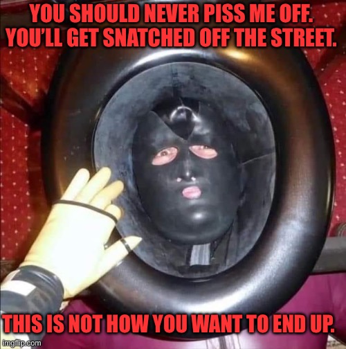 Face in toilet | YOU SHOULD NEVER PISS ME OFF.
YOU’LL GET SNATCHED OFF THE STREET. THIS IS NOT HOW YOU WANT TO END UP. | image tagged in face in toilet | made w/ Imgflip meme maker