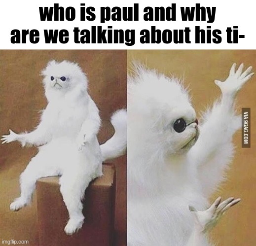 whats politics | who is paul and why are we talking about his ti- | image tagged in confused white monkey,hehe haha,joke | made w/ Imgflip meme maker