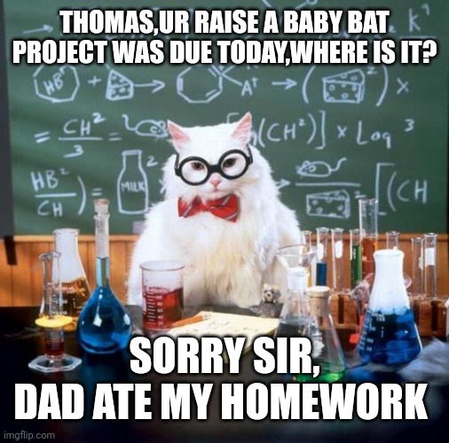 Chemistry Cat | THOMAS,UR RAISE A BABY BAT PROJECT WAS DUE TODAY,WHERE IS IT? SORRY SIR, DAD ATE MY HOMEWORK | image tagged in memes,chemistry cat | made w/ Imgflip meme maker