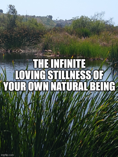 The Infinite Loving Stillness Of Your Own Natural Being | THE INFINITE LOVING STILLNESS OF YOUR OWN NATURAL BEING | image tagged in meditation,reflection,selfawareness | made w/ Imgflip meme maker